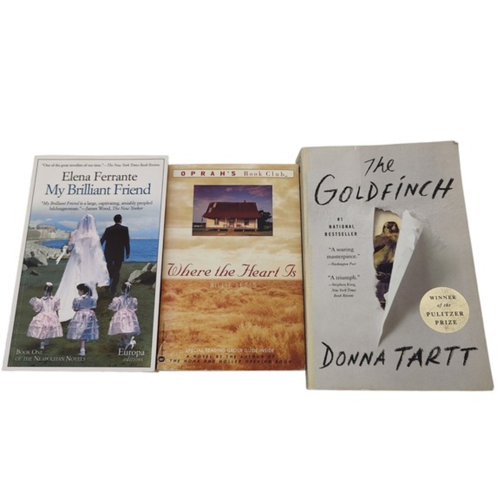 Book Lot 3pc Paperback Coming of Age Contemporary Fiction Tartt Ferrante Letts‎